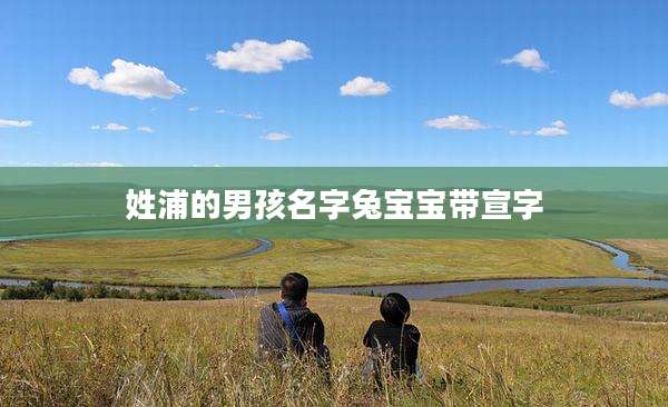 姓浦的男孩名字兔宝宝带宣字