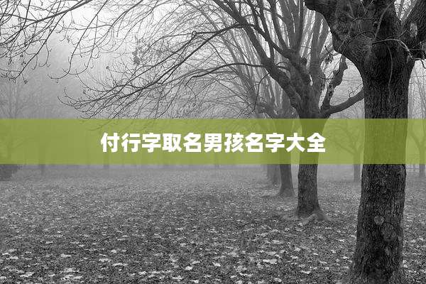 付行字取名男孩名字大全