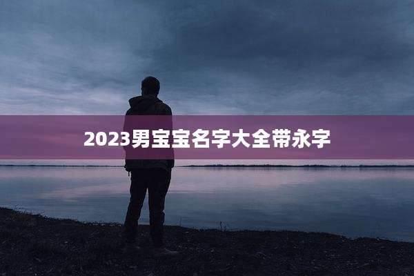 2023男宝宝名字大全带永字