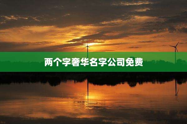 两个字奢华名字公司免费