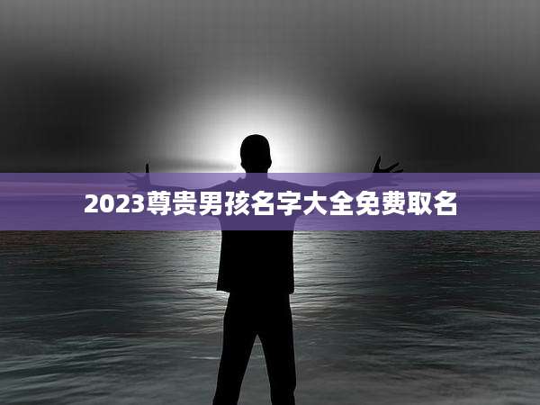 2023尊贵男孩名字大全免费取名