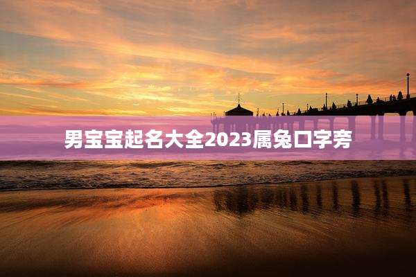 男宝宝起名大全2023属兔口字旁