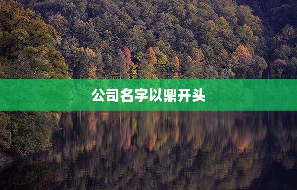 公司名字以鼎开头