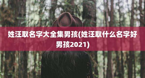 姓汪取名字大全集男孩(姓汪取什么名字好男孩2021)