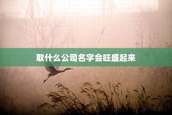 取什么公司名字会旺盛起来