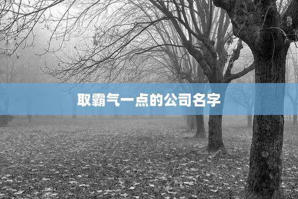取霸气一点的公司名字