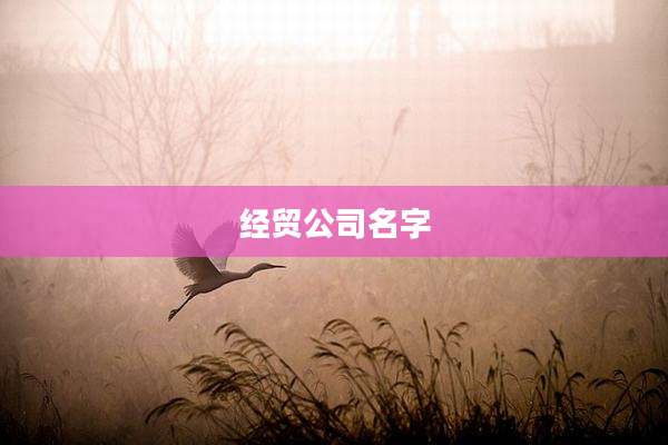 经贸公司名字