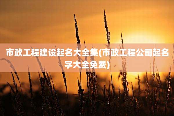 市政工程建设起名大全集(市政工程公司起名字大全免费)
