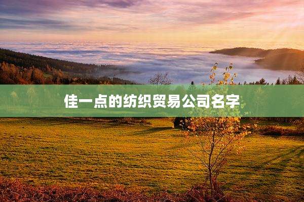 佳一点的纺织贸易公司名字