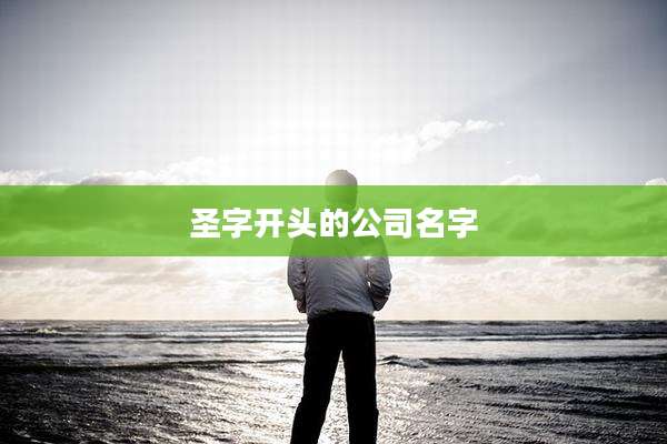 圣字开头的公司名字