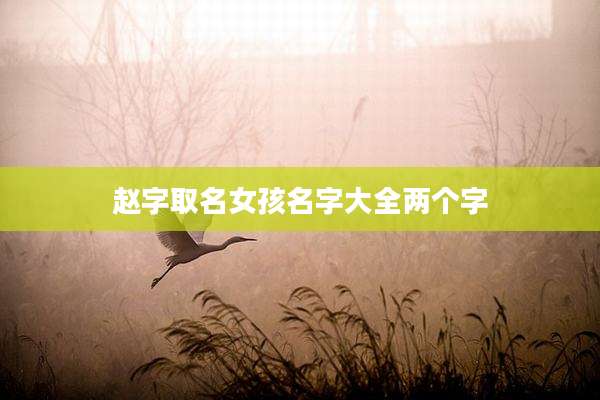 赵字取名女孩名字大全两个字
