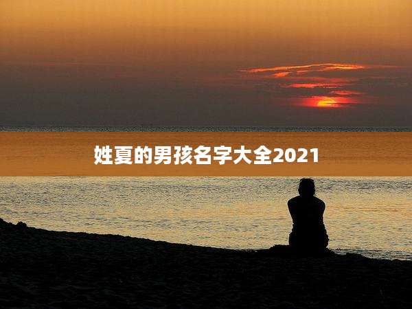 姓夏的男孩名字大全2021