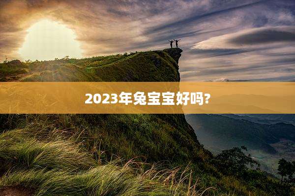 2023年兔宝宝好吗?