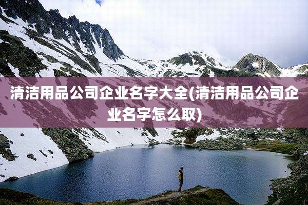 清洁用品公司企业名字大全(清洁用品公司企业名字怎么取)