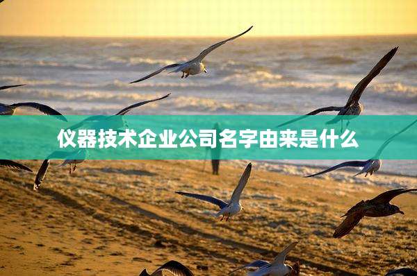 仪器技术企业公司名字由来是什么