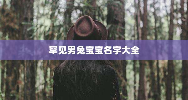 罕见男兔宝宝名字大全
