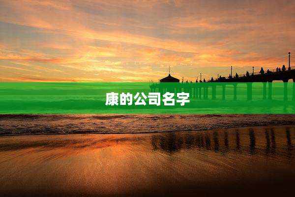 康的公司名字