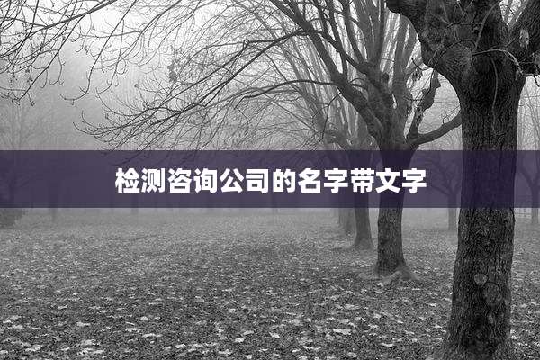 检测咨询公司的名字带文字