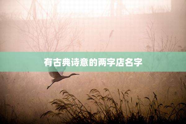 有古典诗意的两字店名字