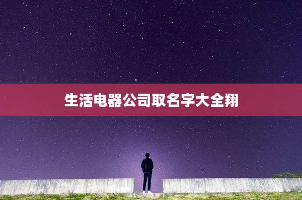 生活电器公司取名字大全翔
