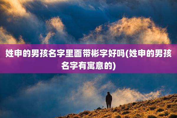 姓申的男孩名字里面带彬字好吗(姓申的男孩名字有寓意的)