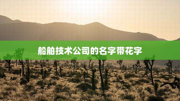 船舶技术公司的名字带花字