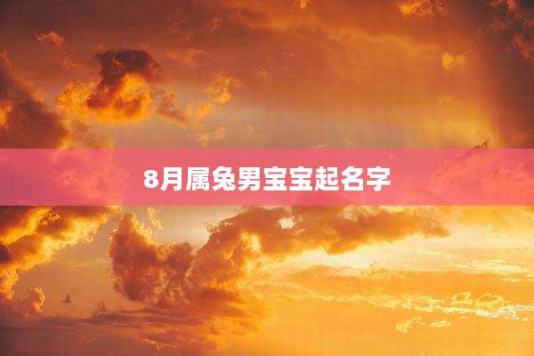 8月属兔男宝宝起名字