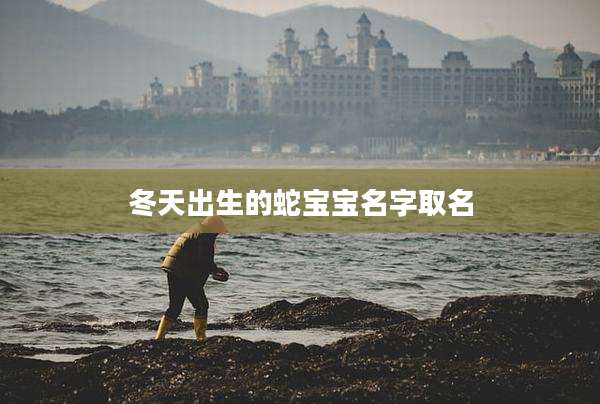 冬天出生的蛇宝宝名字取名