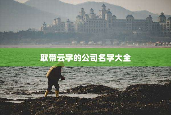 取带云字的公司名字大全