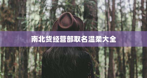 南北货经营部取名温柔大全