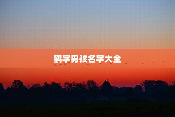 鹤字男孩名字大全