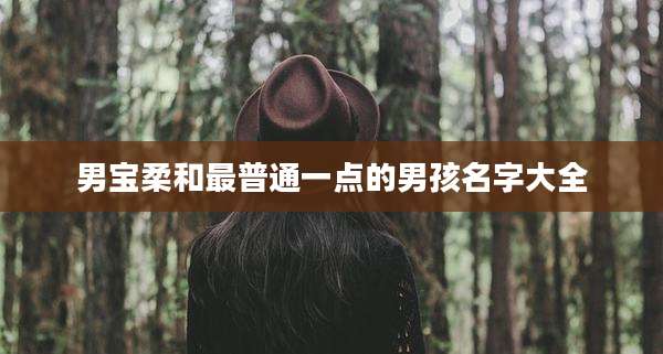 男宝柔和最普通一点的男孩名字大全
