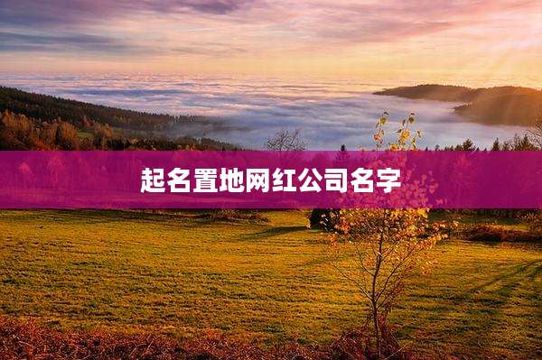 起名置地网红公司名字