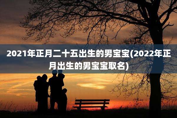 2021年正月二十五出生的男宝宝(2022年正月出生的男宝宝取名)