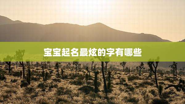 宝宝起名最炫的字有哪些
