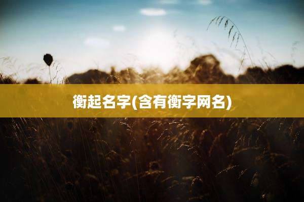衡起名字(含有衡字网名)