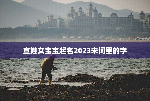 宣姓女宝宝起名2023宋词里的字