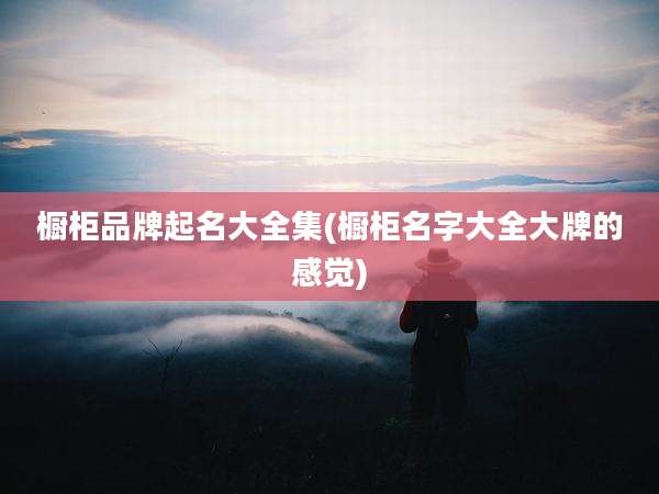 橱柜品牌起名大全集(橱柜名字大全大牌的感觉)