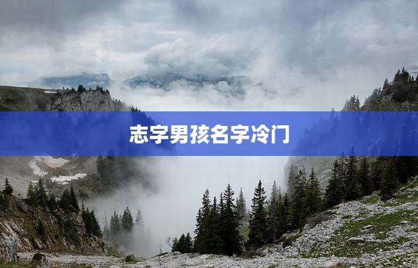 志字男孩名字冷门