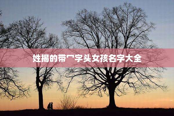 姓揭的带冖字头女孩名字大全