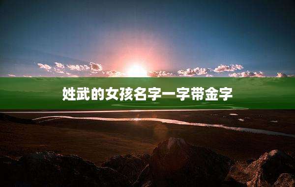 姓武的女孩名字一字带金字