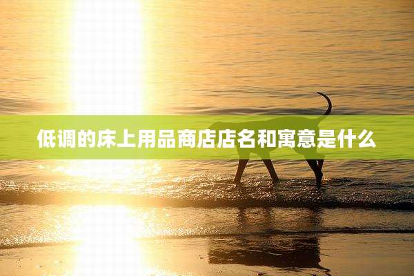 低调的床上用品商店店名和寓意是什么