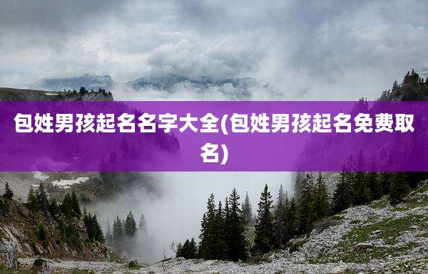 包姓男孩起名名字大全(包姓男孩起名免费取名)
