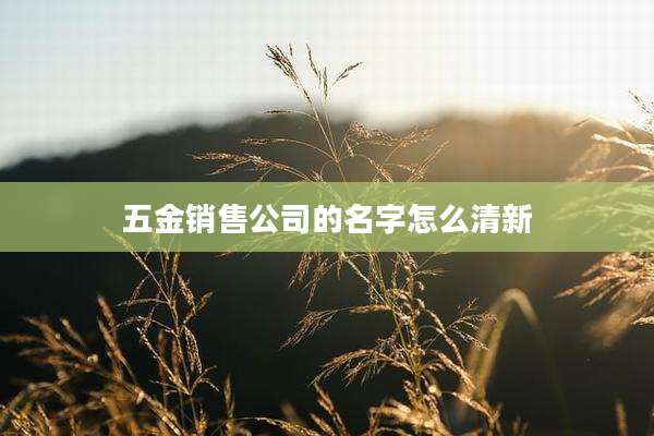 五金销售公司的名字怎么清新