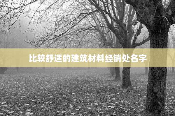 比较舒适的建筑材料经销处名字