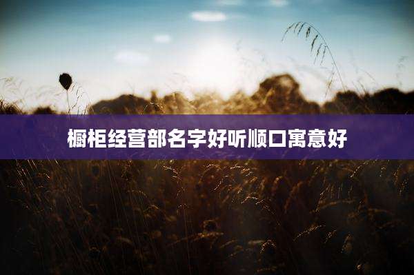 橱柜经营部名字好听顺口寓意好