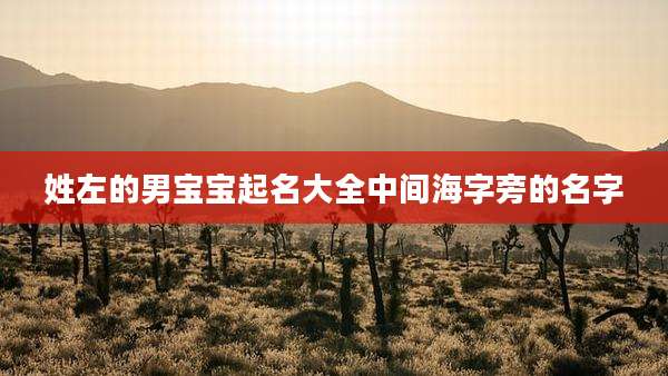 姓左的男宝宝起名大全中间海字旁的名字