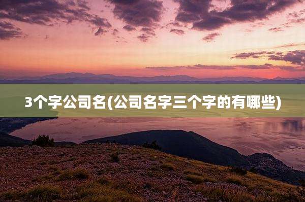 3个字公司名(公司名字三个字的有哪些)