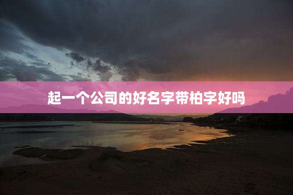 起一个公司的好名字带柏字好吗