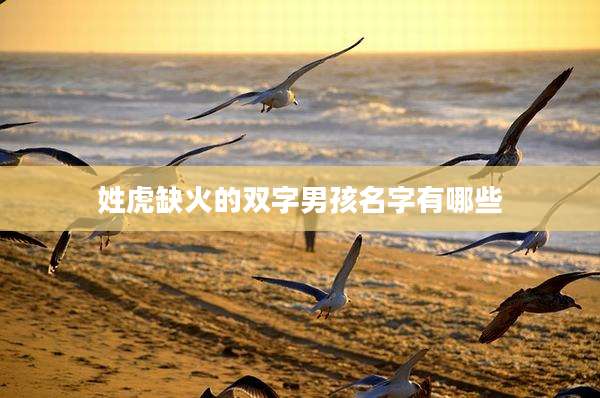 姓虎缺火的双字男孩名字有哪些
